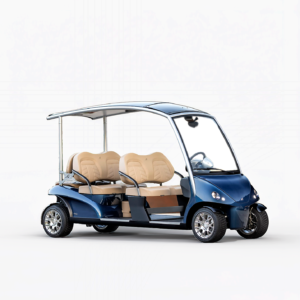 Garia Courtesy Lithium 6 Seat